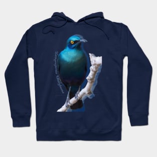 Greater blue-eared starling Hoodie